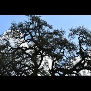 Meet your Posher, Ross